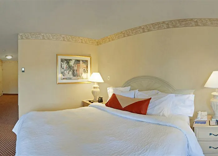 Hilton Garden